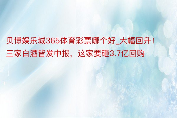 贝博娱乐城365体育彩票哪个好_大幅回升！三家白酒皆发中报，这家要砸3.7亿回购