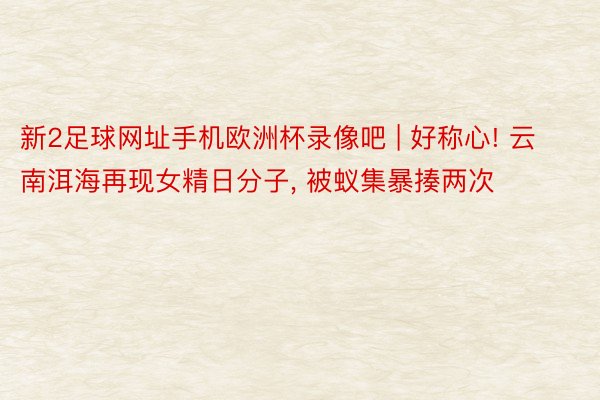 新2足球网址手机欧洲杯录像吧 | 好称心! 云南洱海再现女精日分子, 被蚁集暴揍两次