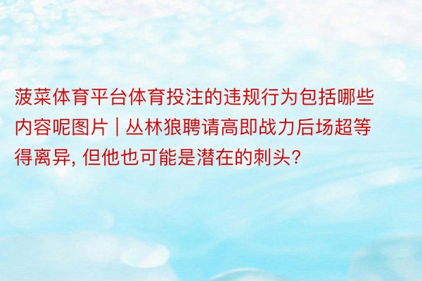 菠菜体育平台体育投注的违规行为包括哪些内容呢图片 | 丛林狼聘请高即战力后场超等得离异, 但他也可能是潜在的刺头?