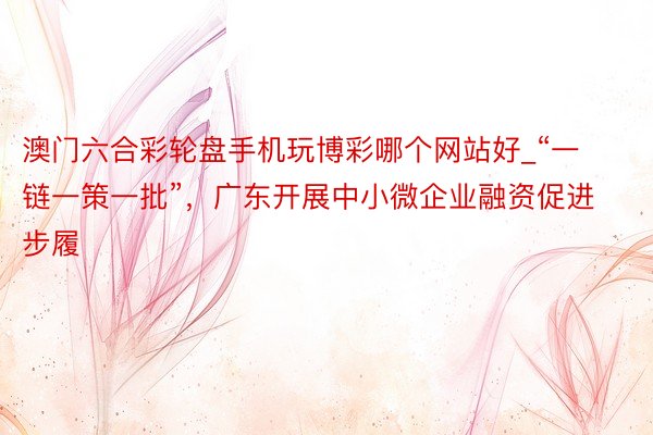 澳门六合彩轮盘手机玩博彩哪个网站好_“一链一策一批”，广东开展中小微企业融资促进步履