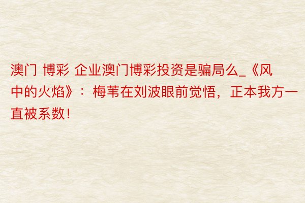 澳门 博彩 企业澳门博彩投资是骗局么_《风中的火焰》：梅苇在刘波眼前觉悟，正本我方一直被系数！